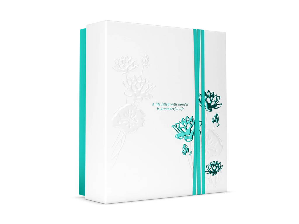 The Ritual Of Ayurveda