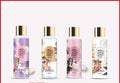 BRAVE - WOMEN BODY MIST 250 ML - STYLISH