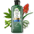 Shampooing Fortifiant Aloe Vera & Bambou 400ml – Herbal Essences